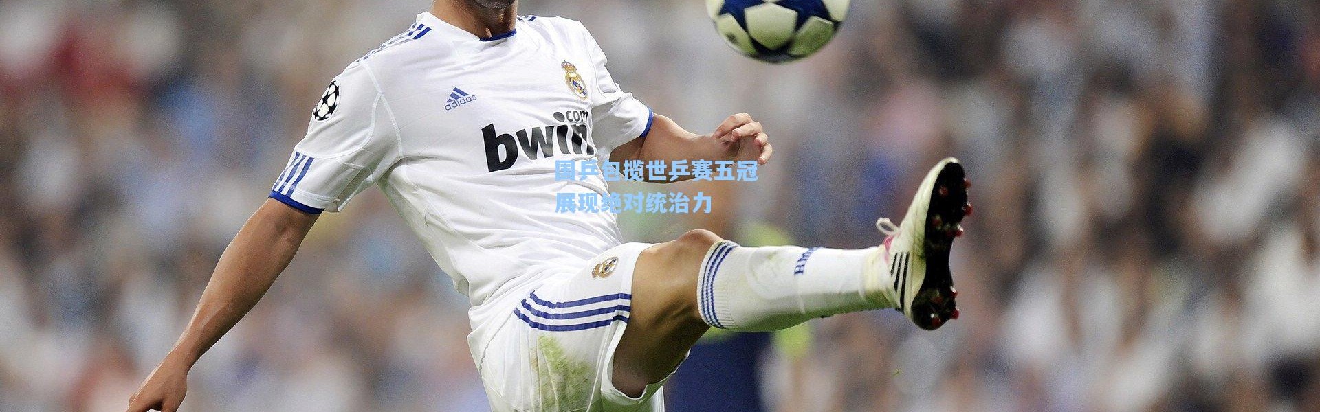 国乒包揽世乒赛五冠 展现绝对统治力