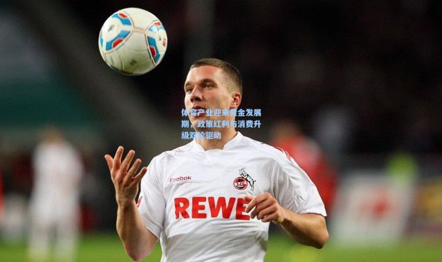 体育产业迎来黄金发展期，政策红利与消费升级双轮驱动