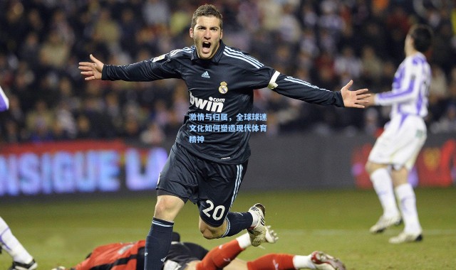 激情与归属，全球球迷文化如何塑造现代体育精神