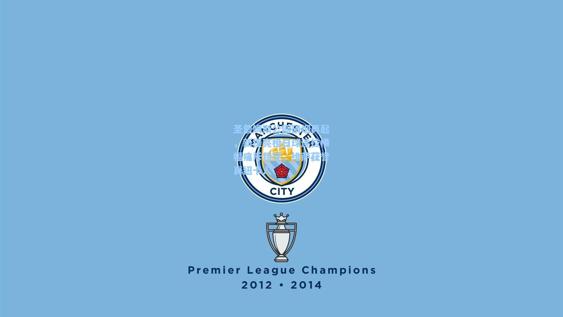 圣詹姆斯公园硝烟再起，新援亮相日球迷拉横幅痛斥叛徒，维萨获誉真纽卡人